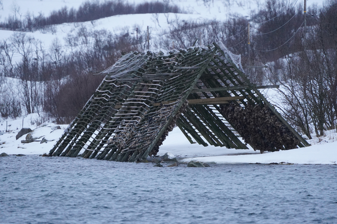 Fiskehjell sett fra båtturen langs kysten av Tromsø