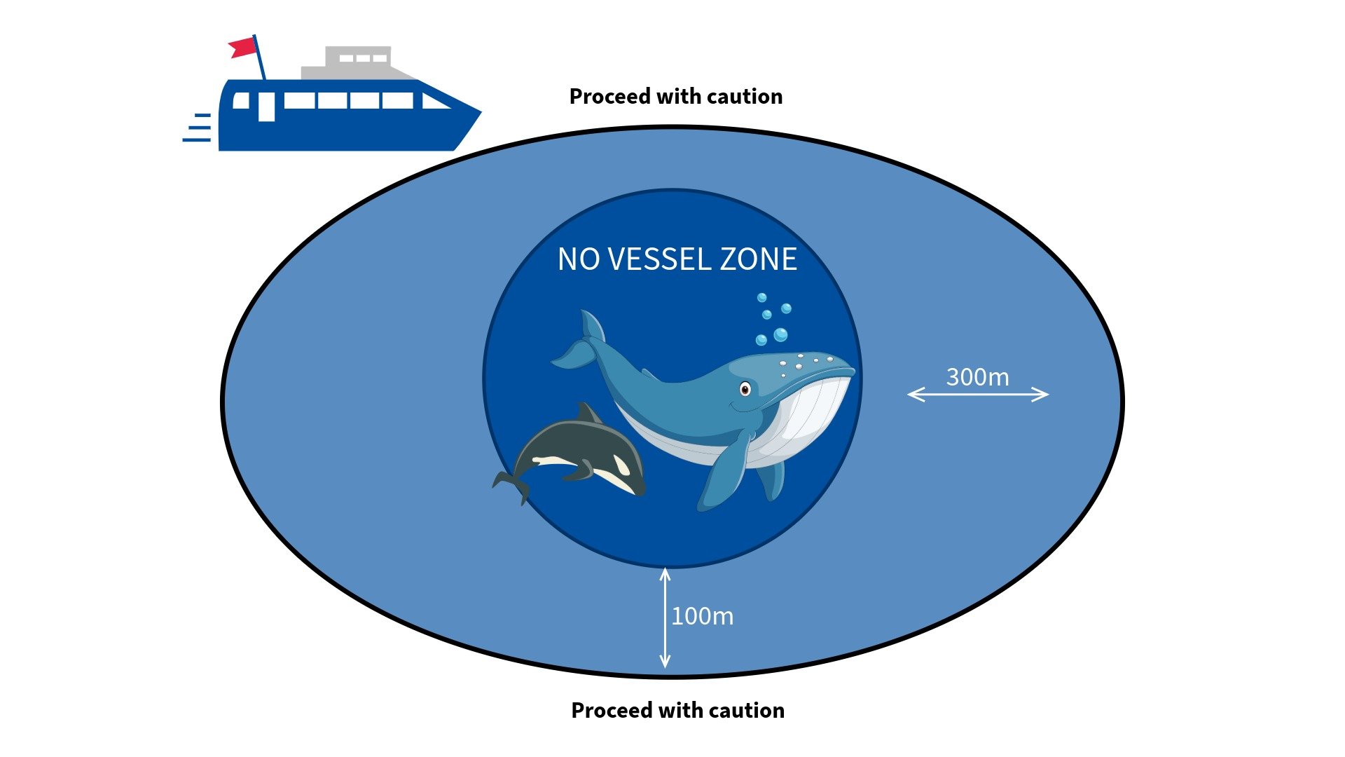 a illustrated map describing how the sustainable whale watching policy works.