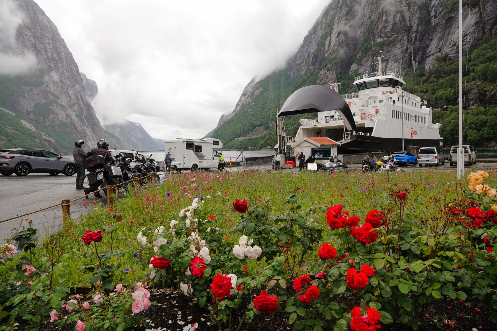 Blooming rose bed in the foreground, with campervans and motorcycles waiting to board the car ferry in Lysebotn