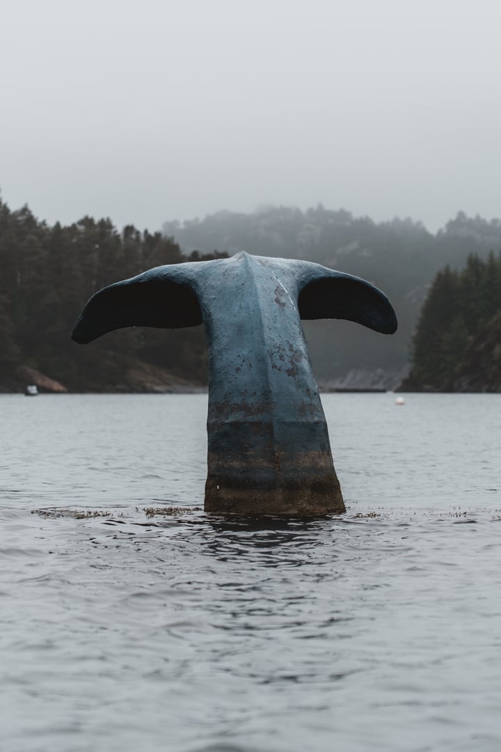 Whale-tail sculpture rising from misty water near skogsvåg, among the islands west of Bergen
